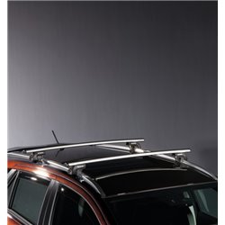 Barres de toit pour véhicule avec barres longitudinales